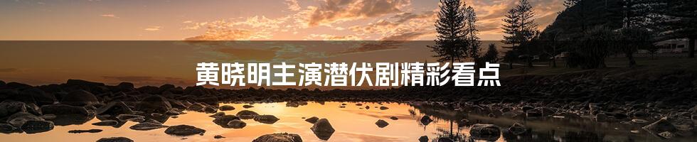 黄晓明主演潜伏剧精彩看点