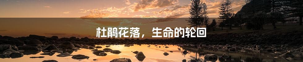 杜鹃花落,生命的轮回