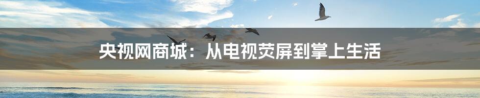 央视网商城:从电视荧屏到掌上生活