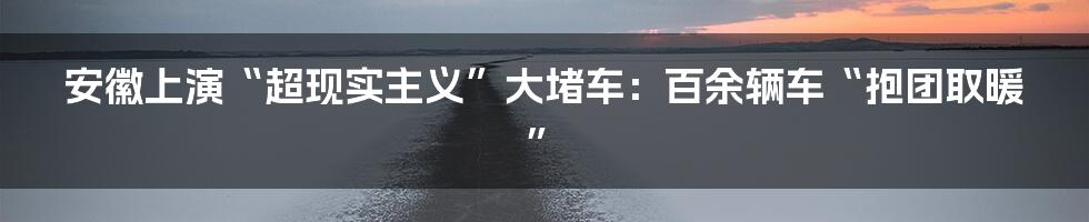安徽上演“超现实主义”大堵车:百余辆车“抱团取暖”
