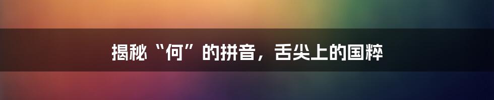 揭秘“何”的拼音,舌尖上的国粹