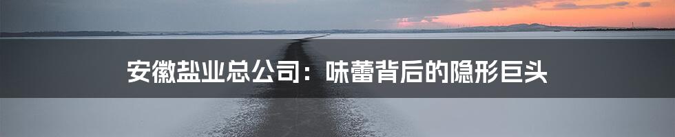 安徽盐业总公司:味蕾背后的隐形巨头