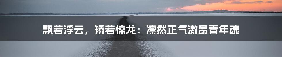 飘若浮云，矫若惊龙：凛然正气激昂青年魂