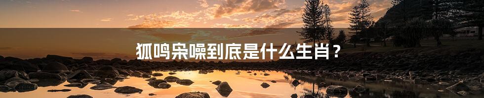 狐鸣枭噪到底是什么生肖?