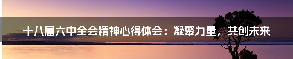 十八届六中全会精神心得体会:凝聚力量,共创未来