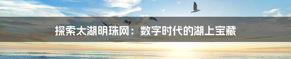 探索太湖明珠网：数字时代的湖上宝藏