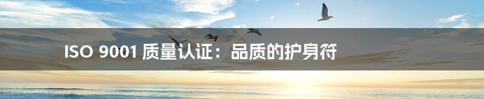 ISO 9001 质量认证:品质的护身符