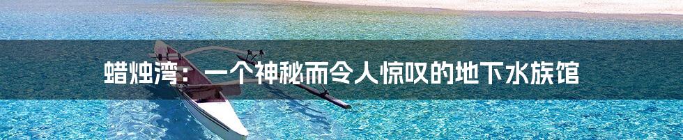 蜡烛湾：一个神秘而令人惊叹的地下水族馆