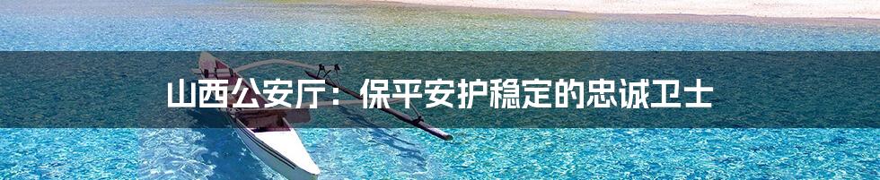 山西公安厅：保平安护稳定的忠诚卫士