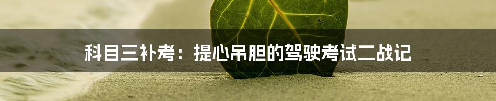 科目三补考:提心吊胆的驾驶考试二战记