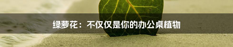 绿萝花：不仅仅是你的办公桌植物