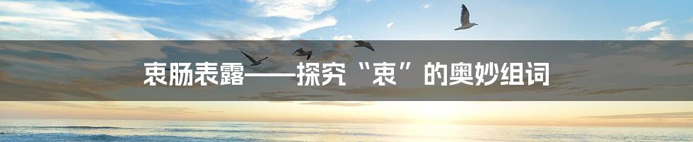 衷肠表露——探究“衷”的奥妙组词