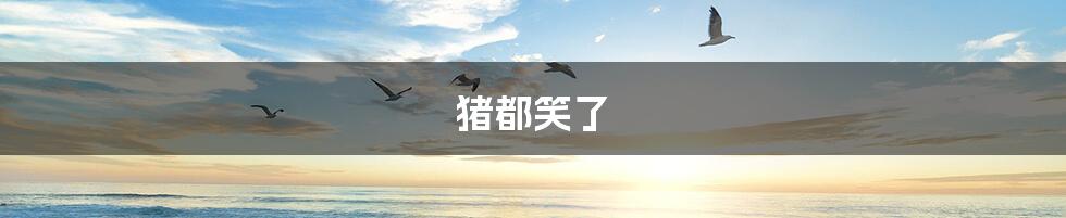猪都笑了