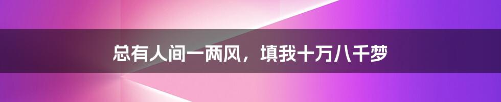 总有人间一两风,填我十万八千梦