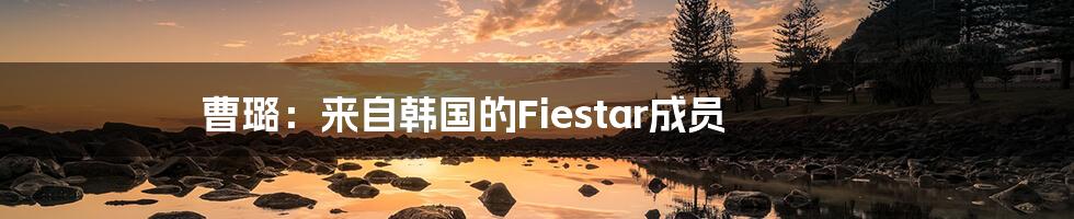 曹璐:来自韩国的Fiestar成员