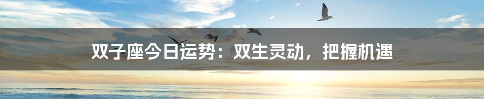 双子座今日运势:双生灵动,把握机遇