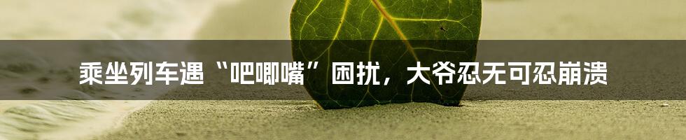 乘坐列车遇“吧唧嘴”困扰，大爷忍无可忍崩溃