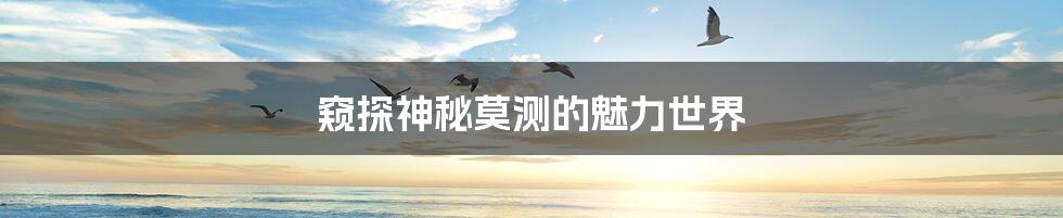窥探神秘莫测的魅力世界