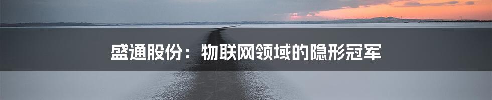 盛通股份：物联网领域的隐形冠军