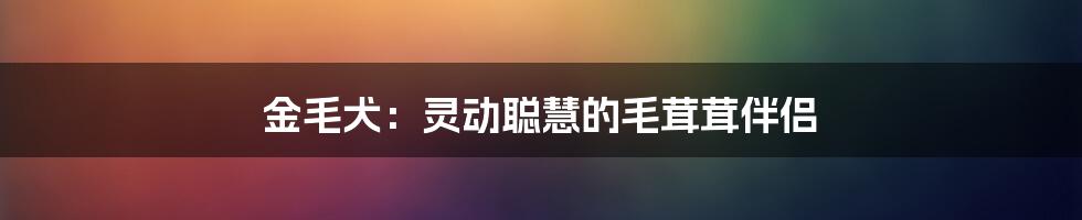 金毛犬：灵动聪慧的毛茸茸伴侣