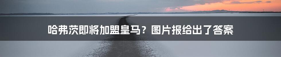哈弗茨即将加盟皇马?图片报给出了答案