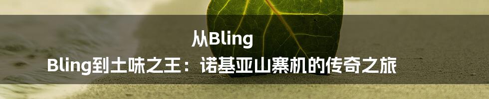 从Bling Bling到土味之王:诺基亚山寨机的传奇之旅