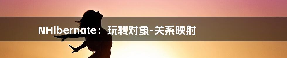 NHibernate：玩转对象-关系映射