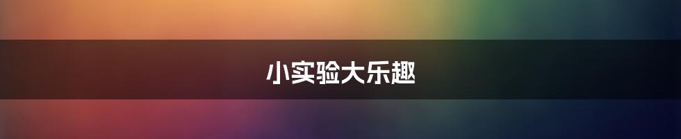 小实验大乐趣