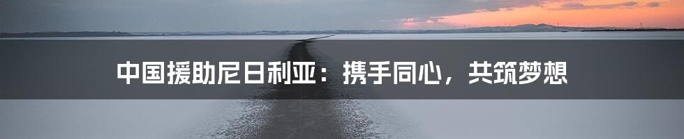 中国援助尼日利亚:携手同心,共筑梦想