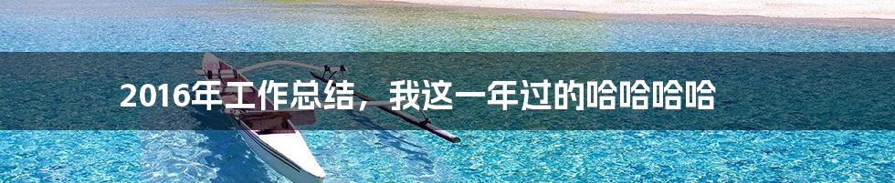 2016年工作总结,我这一年过的哈哈哈哈