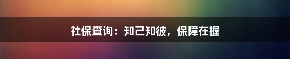 社保查询：知己知彼，保障在握