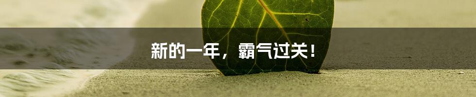 新的一年，霸气过关！