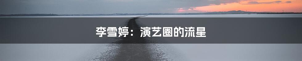 李雪婷：演艺圈的流星