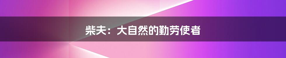 柴夫:大自然的勤劳使者
