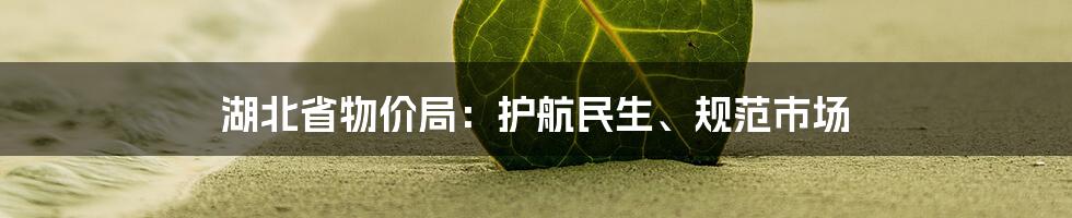 湖北省物价局：护航民生、规范市场