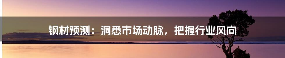 钢材预测:洞悉市场动脉,把握行业风向
