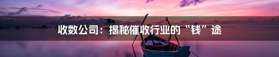 收数公司:揭秘催收行业的“钱”途