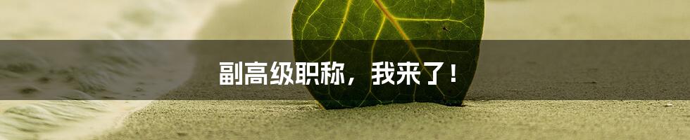 副高级职称,我来了!