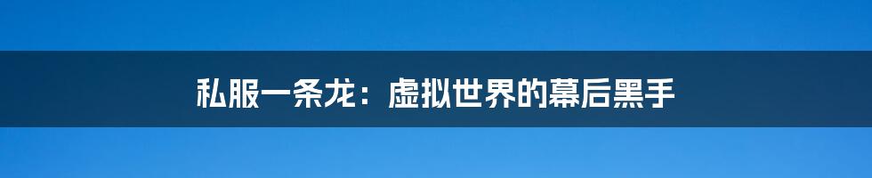 私服一条龙：虚拟世界的幕后黑手