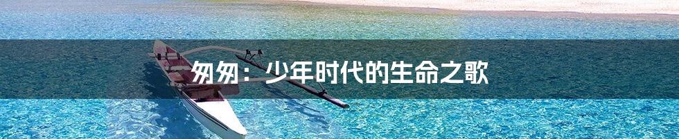匆匆:少年时代的生命之歌