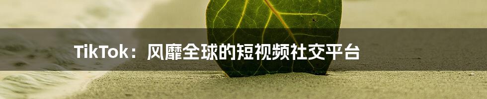 TikTok:风靡全球的短视频社交平台
