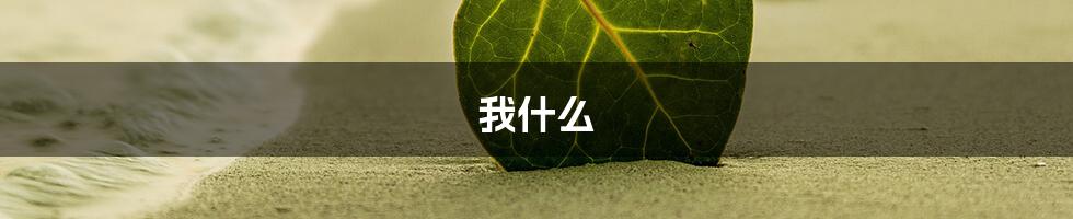 我什么