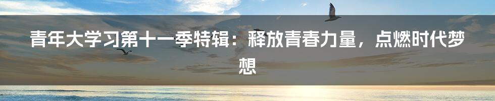 青年大学习第十一季特辑:释放青春力量,点燃时代梦想