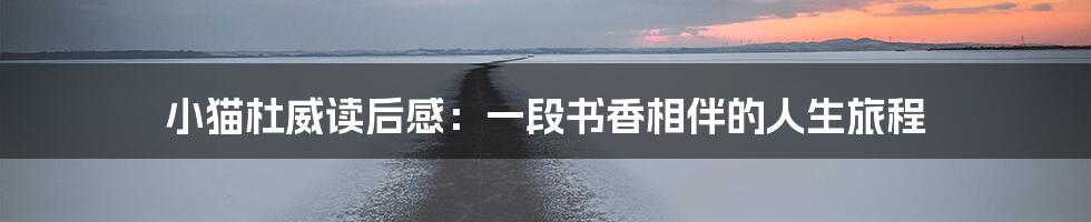 小猫杜威读后感:一段书香相伴的人生旅程