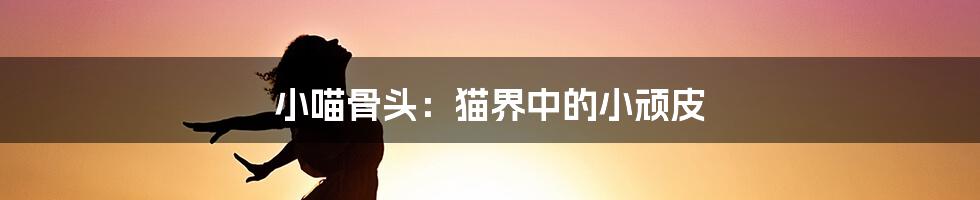 小喵骨头:猫界中的小顽皮