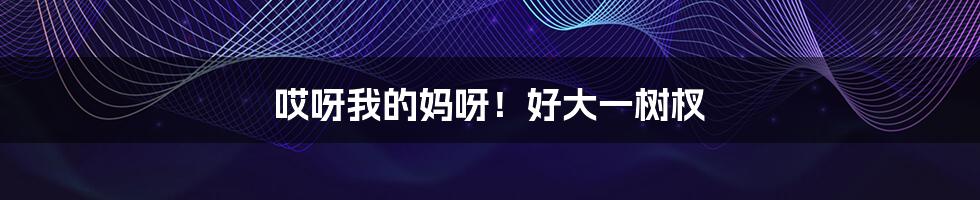 哎呀我的妈呀！好大一树杈