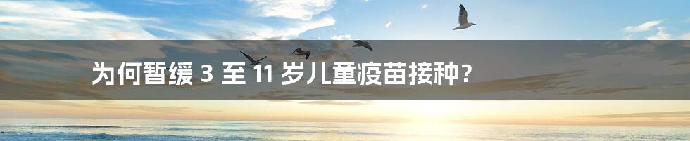 为何暂缓 3 至 11 岁儿童疫苗接种?