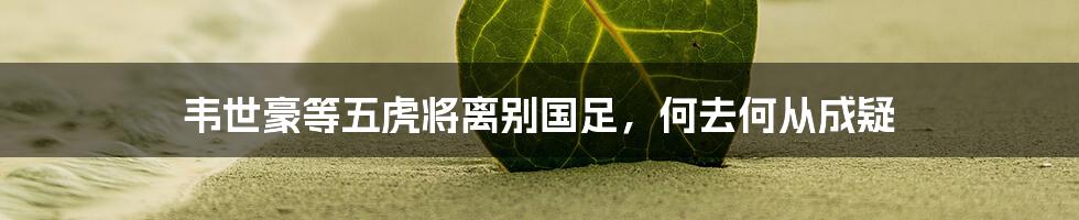 韦世豪等五虎将离别国足,何去何从成疑