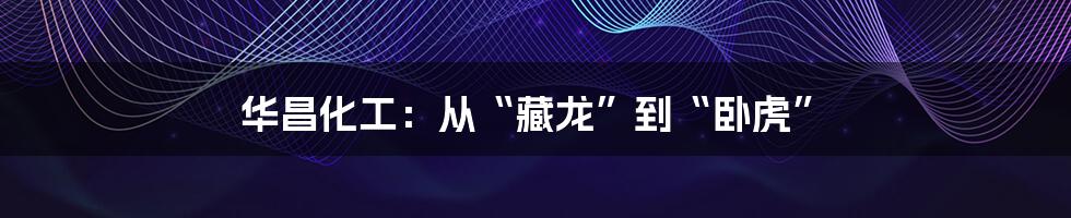 华昌化工：从“藏龙”到“卧虎”