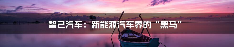 智己汽车：新能源汽车界的“黑马”